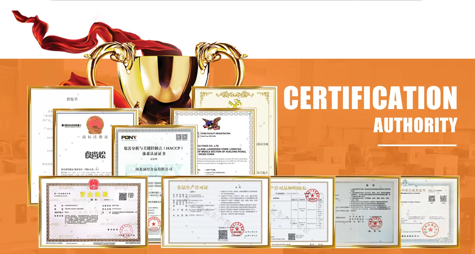 Chenghou COMPANY PROFILE 3